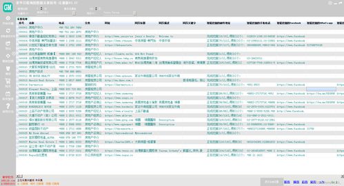 谷歌地圖商家數(shù)據(jù)采集與企業(yè)業(yè)務(wù)系統(tǒng)定制 數(shù)字化時代的企業(yè)雙引擎